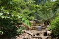 Property photo of 2944 Shute Harbour Road Flametree QLD 4802