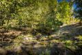 Property photo of 9 Lilly Pilly Lane Dulong QLD 4560