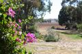 Property photo of 44 Trewin Road Goorambat VIC 3725