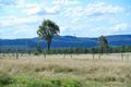 Property photo of 174 Grants Road Lower Mount Walker QLD 4340