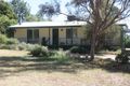 Property photo of 44 Trewin Road Goorambat VIC 3725