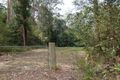 Property photo of 54 Delicia Road Mapleton QLD 4560