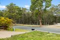 Property photo of 49 Wanderer Crescent Springfield Lakes QLD 4300