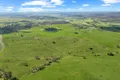 Property photo of 4411 Bruxner Highway Piora NSW 2470