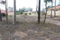Property photo of 47 Carnarvon Circuit East Maitland NSW 2323