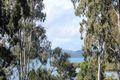 Property photo of 200 Kate Street Macleay Island QLD 4184