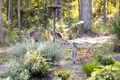 Property photo of 15 Oyster Drive Valla NSW 2448