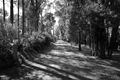 Property photo of 16 Wylie Road Silvan VIC 3795