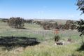 Property photo of 32 Stoney Banks Road Mount Pleasant SA 5235