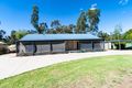 Property photo of 14 Tuohy Court Eildon VIC 3713