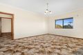 Property photo of 48 Flers Avenue Earlwood NSW 2206