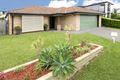 Property photo of 13 Brookwood Street Murarrie QLD 4172