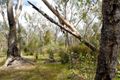 Property photo of 300 Nylagarda Road Hill River WA 6521