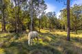 Property photo of 18 Kingfisher Drive Wingham NSW 2429