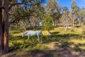 Property photo of 18 Kingfisher Drive Wingham NSW 2429