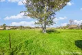 Property photo of 135 Werriberri Road Orangeville NSW 2570