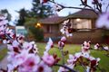 Property photo of 11 Aminga Court Croydon VIC 3136