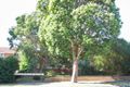 Property photo of 20/1-2 Hatfield Court West Footscray VIC 3012
