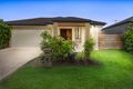 Property photo of 49 Kurrajong Circuit North Lakes QLD 4509