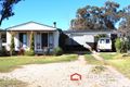 Property photo of 19 Cynthia Street Tarcutta NSW 2652