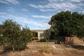 Property photo of 11 Edwards Avenue Park Holme SA 5043