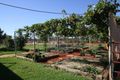 Property photo of 301 Lerida Road Cobar NSW 2835