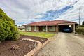 Property photo of 101 South Avenue Bordertown SA 5268