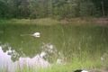 Property photo of 694 East Kurrajong Road East Kurrajong NSW 2758