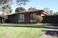 Property photo of 55 Australorp Avenue Seven Hills NSW 2147