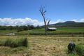 Property photo of 266 Bunjurgen Road Bunjurgen QLD 4310