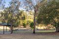 Property photo of 56 Cobbity Crescent Arana Hills QLD 4054