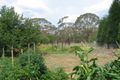 Property photo of 85 Wolgan Road Lidsdale NSW 2790