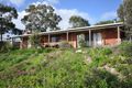 Property photo of 39 McFarlane Street Robe SA 5276
