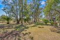 Property photo of 2-6 Queen Street Singleton NSW 2330