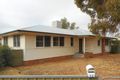 Property photo of 42 Elizabeth Crescent Cobar NSW 2835