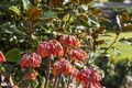 Property photo of 82 Grange Road West Rokeby TAS 7019