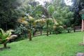 Property photo of 120 Alan Street Niagara Park NSW 2250