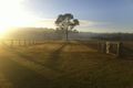 Property photo of 32 Dicksons Road Jilliby NSW 2259