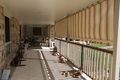 Property photo of 3 Franklin Close Tinana QLD 4650