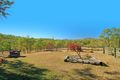 Property photo of 352 Waroula Road Stanwell QLD 4702