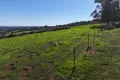 Property photo of Richards Road Ferguson WA 6236