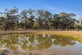 Property photo of 1131 Sandy Creek Road Quorrobolong NSW 2325