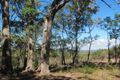 Property photo of 412 Capricornia Drive Deepwater QLD 4674