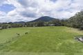 Property photo of 111B Badger Creek Road Badger Creek VIC 3777