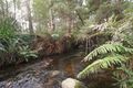 Property photo of 21 Reefton Drive McMahons Creek VIC 3799