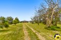 Property photo of 1251 Canunda Frontage Road Millicent SA 5280