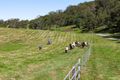 Property photo of LOT 445 Ted Road Geham QLD 4352