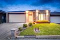 Property photo of 12 Mullein Bend Cranbourne North VIC 3977