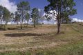 Property photo of 11 Blanckensee Road Langshaw QLD 4570