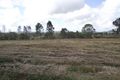Property photo of 11 Blanckensee Road Langshaw QLD 4570